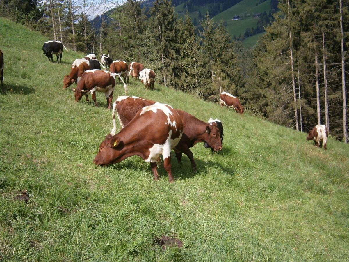 Apartament Filzenhof Kitzbühel Pokój zdjęcie