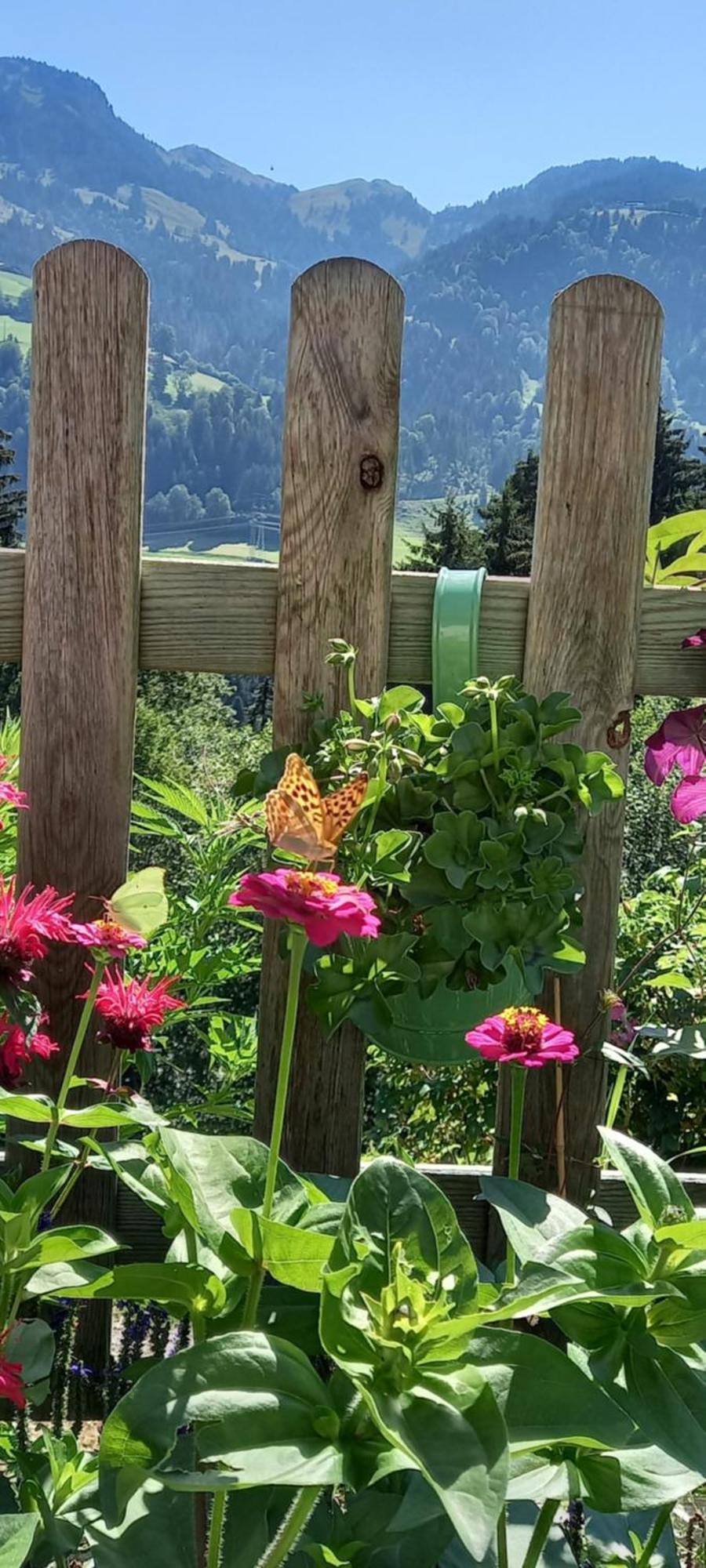 Apartament Filzenhof Kitzbühel Zewnętrze zdjęcie