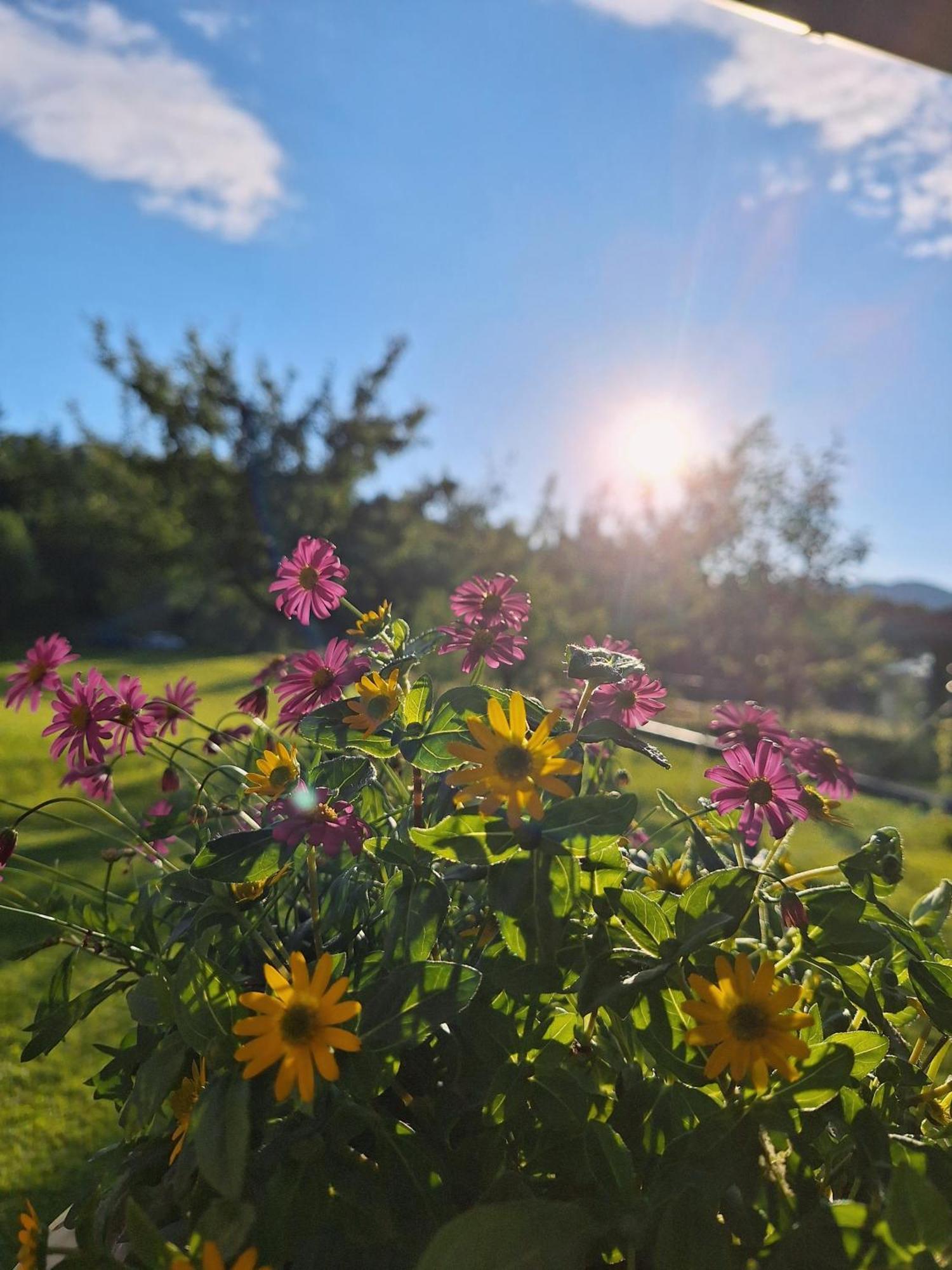 Apartament Filzenhof Kitzbühel Zewnętrze zdjęcie